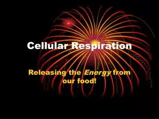 Cellular Respiration