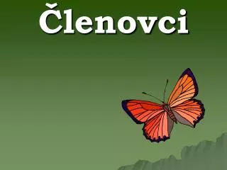 lenovci