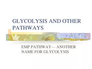 glycolysis and other pathways