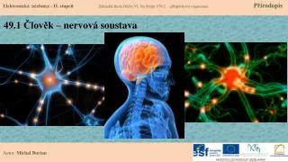 49 1 lov k nervov soustava