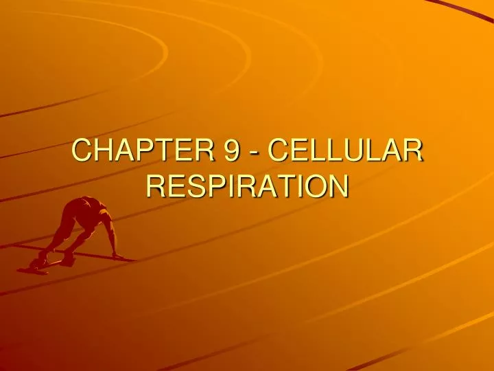chapter 9 cellular respiration