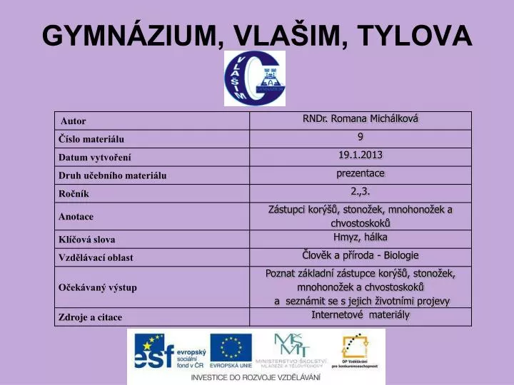 gymn zium vla im tylova