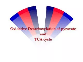 Oxidative Decarboxylation of pyruvate and TCA cycle
