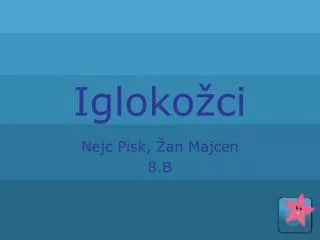igloko ci