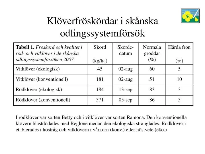 PPT - Klöverfröskördar I Skånska Odlingssystemförsök PowerPoint ...