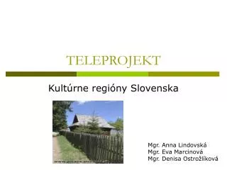 teleprojekt