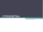 CITOGENETIKA - slide 1