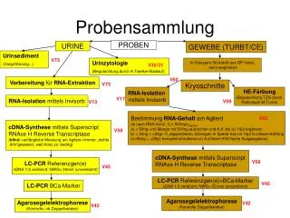 probensammlung