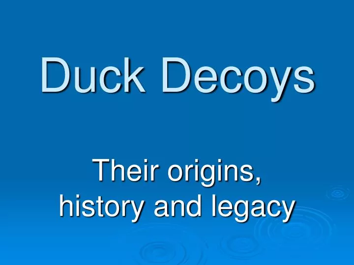 duck decoys