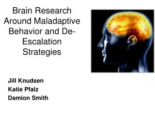 Brain Research Around Maladaptive Behavior and De-Escalation Strategies