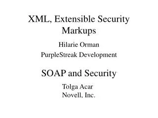 XML, Extensible Security Markups