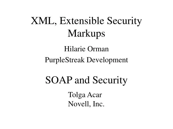xml extensible security markups