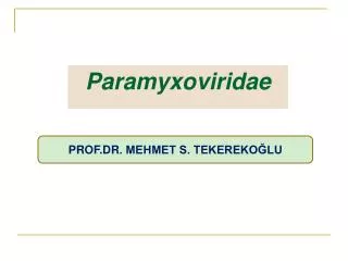 paramyxoviridae