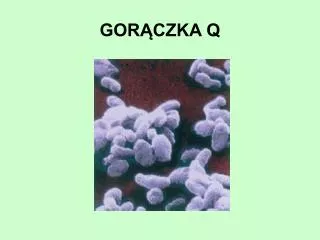 gor czka q