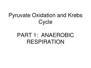 Pyruvate Oxidation and Krebs Cycle PART 1: ANAEROBIC RESPIRATION