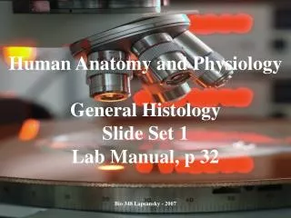 Human Anatomy and Physiology General Histology Slide Set 1 Lab Manual, p 32