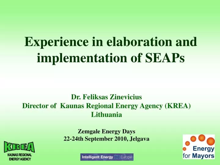 experience in elaboration and implementation of seaps