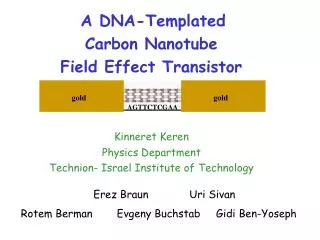 A DNA-Templated Carbon Nanotube Field Effect Transistor