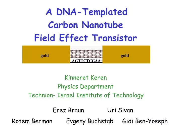 a dna templated carbon nanotube field effect transistor