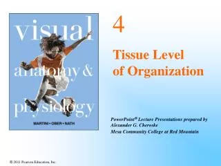 4 Tissue Level of Organization