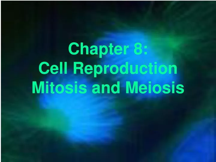 chapter 8 cell reproduction mitosis and meiosis