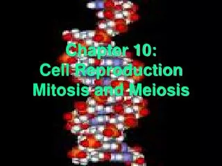Chapter 10: Cell Reproduction Mitosis and Meiosis