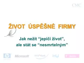 ivot sp n firmy