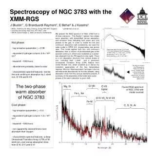 Spectroscopy of NGC 3783 with the XMM-RGS