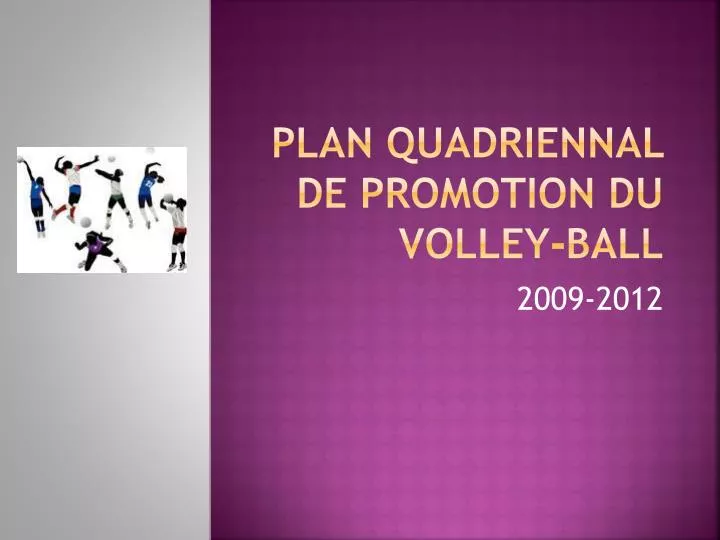 plan quadriennal de promotion du volley ball