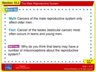 Myth Cancers of the male reproductive system only affect older men.