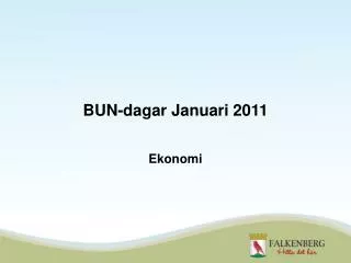 bun dagar januari 2011