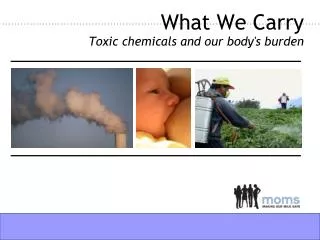 What We Carry Toxic chemicals and our body's burden