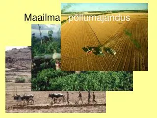 maailma p llumajandus