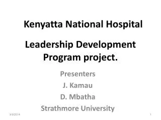 Leadership Development Program project.