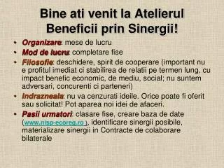 bine ati venit la atelierul beneficii prin sinergii