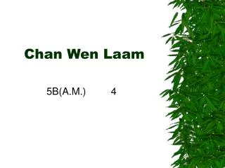 Chan Wen Laam