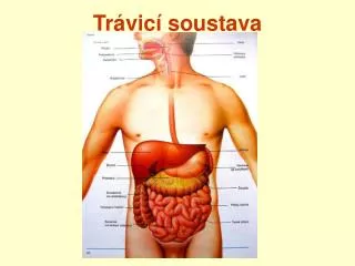 tr vic soustava