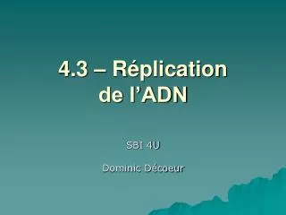 4 3 r plication de l adn