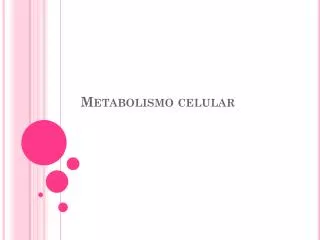 metabolismo celular
