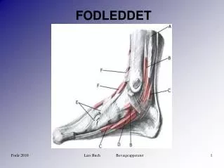 fodleddet
