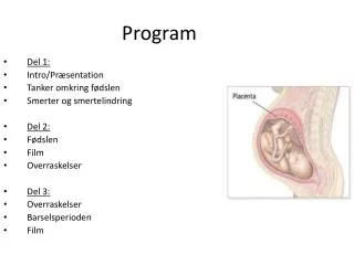 program