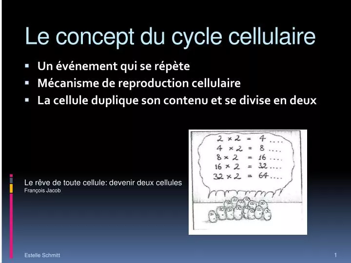 le concept du cycle cellulaire