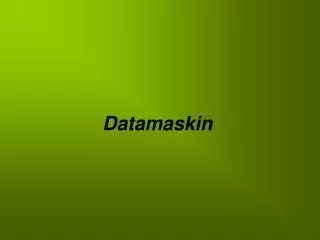 datamaskin