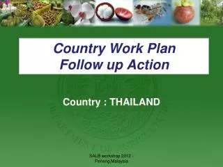 Country Work Plan Follow up Action