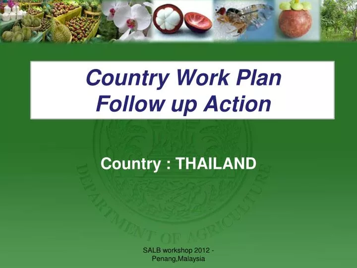 country work plan follow up action
