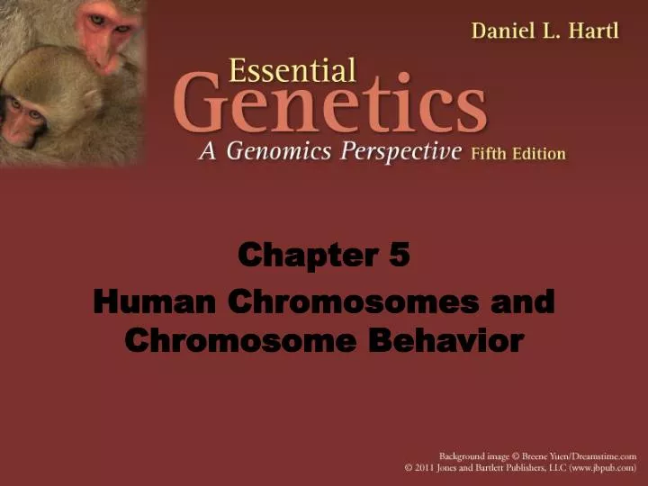 chapter 5 human chromosomes and chromosome behavior