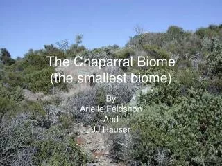 The Chaparral Biome (the smallest biome)