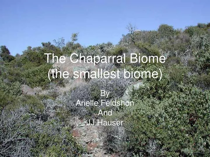 the chaparral biome the smallest biome