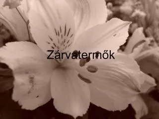 z rvaterm k