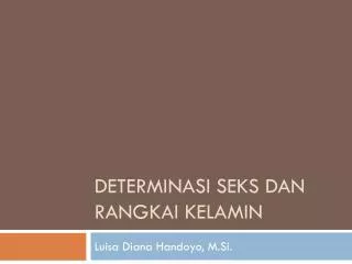 determinasi seks dan rangkai kelamin